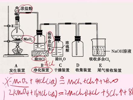 【高考热点】氯气(Cl2)的制备与用途