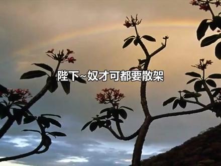 声音是听着听着就软!!汁原指路公主浩《晓耽意》#双男主 #耽推 #广播剧