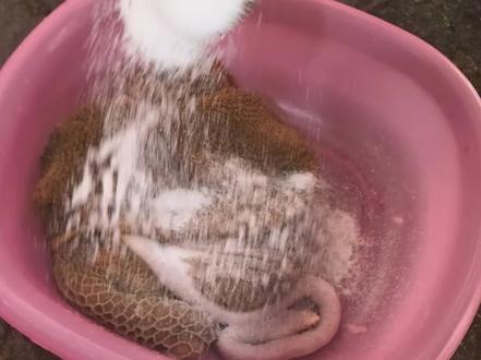 周家沂蒙羊肉-羊肚清洗教程#羊肚清洗教程