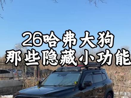 哈弗大狗的隐藏小技巧全都设计在使用方面上,看看车上还有哪些隐藏的小开关#哈弗大狗2026款 #城市越野双标杆 #每天一个用车知识