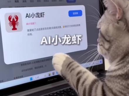 喵总带你了解AI小龙虾#openclaw #AI #龙虾 #小龙虾