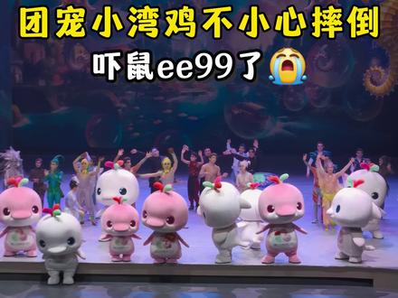 团宠小湾鸡不小心摔倒😭吓鼠ee99啦 #大湾鸡 #广州杂技团 #萌动奇迹 #小湾鸡 #mini鸡