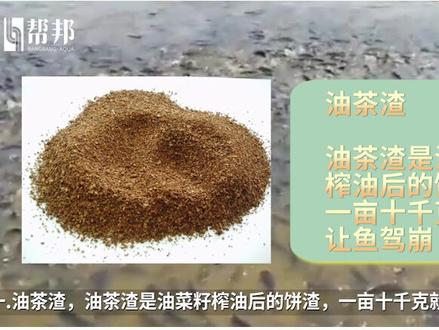 三种鱼塘克星,一定不要往池塘里扔#四大家鱼#养鱼#四大家鱼养殖 @渔行家
