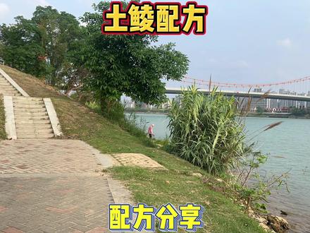 为什么只有浓腥味型的赤尾青才是野生土鲮最爱的口味!土鲮冬季配方分享给你!#土鲮配方