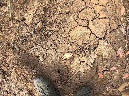 变态蟹王洞属实罕见,一般赶海人看了都怕,渔夫挖了5米长才抓到