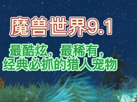 魔兽世界9.1最酷炫,最稀有,经典必抓的猎人宠物-卡洛玛-持续更新中#wow #幽灵狼 #灵魂兽 #游戏精彩时刻 #游戏攻略 #游戏日常
