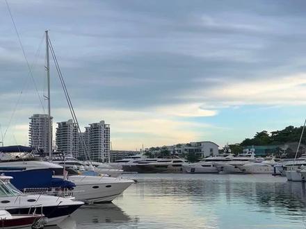 在国内东部的夏季,早晨5点多就升太阳了,新加坡常年夏天,差不多七点才天亮
#新加坡 #新加坡东哥 #异国他乡 #海外生活