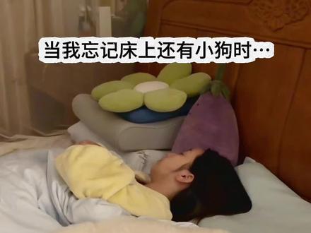 那个…不好意思😅
#养宠人精神状态 #小狗治好了我的情绪内耗 #谁能拒绝和狗狗一起睡觉 #跟宠物一起宅在家 #比熊