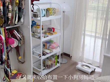 vlog|可卡布的新家入住🏠!布置狗房 #可卡布 #养狗vlog #养狗 #狗狗 #迪士尼小狗