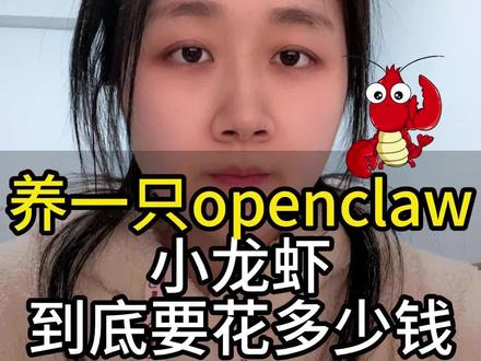 养一只小龙虾到底要多少钱?#openclaw #小龙虾 #AI #程序员 #微信小程序