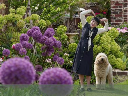 12个月开花不断,自然野趣搭配方案 #大花葱 #花葱 #花园 #搭配 #海蒂的花园 @抖音小助手