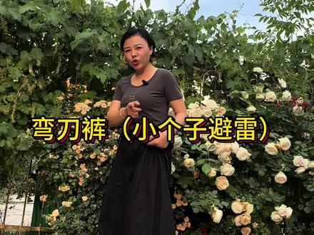 #我要上热门 #小个子穿搭 #穿搭避雷 #弯刀裤
超级压个子的弯刀裤、真的巨丑