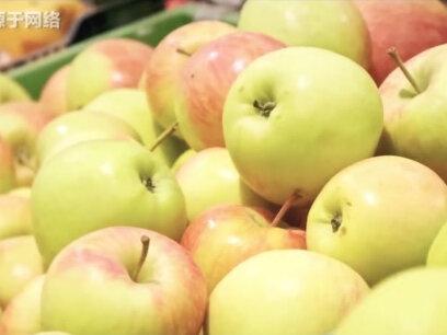 日本人狂租山东1500亩地,闲置5年荒草丛生,这番骚操作是想干啥? #日本 #农业 #水果