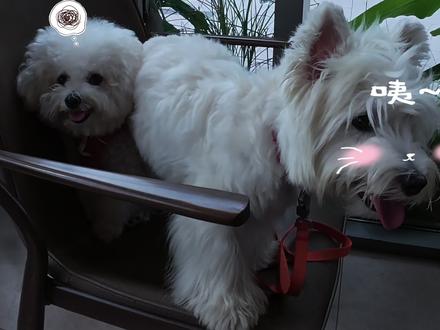 1分钟教你学会最近超火的ato剪辑风格~ #ato剪辑法杀回来了 #剪辑教程 #vlog日常 #平面跟踪 #网感剪辑