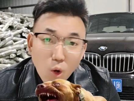 斗犬之王比特战斗力不是最厉害的