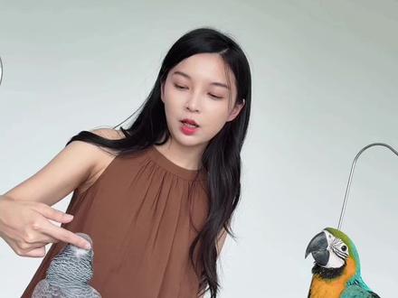 个人可以合法饲养中大型鹦鹉吗? 真的好喜欢高智商的鹦鹉啊!#养鹦鹉必看 #异宠 #鹦鹉