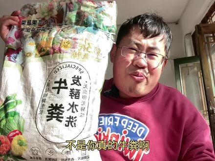 收到铁子送来的牛粪和手表了