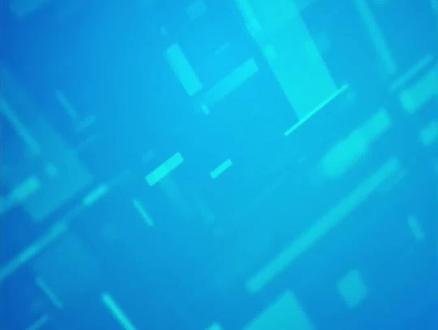 关于给予王从银同志党内警告处分的决定