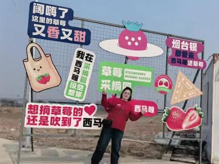 西马疃,团建走起
摘草莓🍓吃大锅饭
经过我的母校~烟汽大
书记(从网上照进现实)#用抖音记录人生 #记录自己的点点滴滴 #享受阳光享受生活 #西马疃