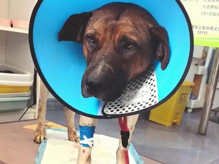 #西北刀客 黄白花,花姐拆针戏码