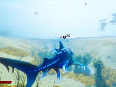 食人鲨!我在水族馆遇到凶猛的顶级虎鲸,差点就被它咬死了