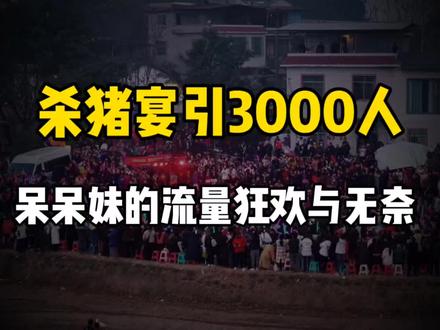 杀猪宴引3000人!呆呆妹的流量狂欢与无奈