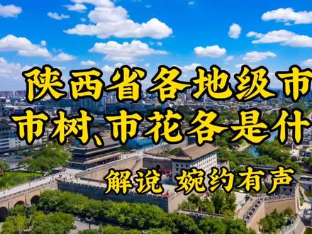 陕西省各地级市的市树、市花各是什么?解说婉约有声 #解说婉约有声 #绿水青山我的家 #抖出我的家乡 #航拍最美家乡