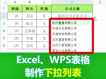 在表格中如何制作下拉列表? #WPS学院 #办公技巧 #office办公技巧 #表格技巧 #word办公技巧