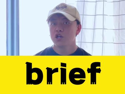 简要的是concise还是brief#英语