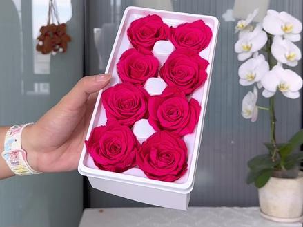 四分钟学会玫红色弗洛伊德玫瑰圣诞树🎄
#圣诞树 #弗洛伊德 #玫红色 #花束教程来啦 #东莞花店