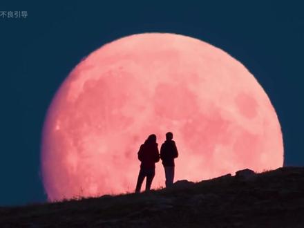 地球失重7秒致千万人坠落身亡?NASA出面辟谣 #科普 #地球失重 #知识前沿派对 #抖音知识年终大赏