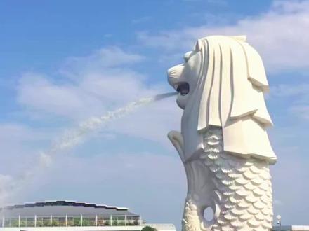 我们全家申请,7个月一次性拿到PR永玖居民,分享申请经验。#PR #海外生活 #新加坡生活 #你追梦我护航