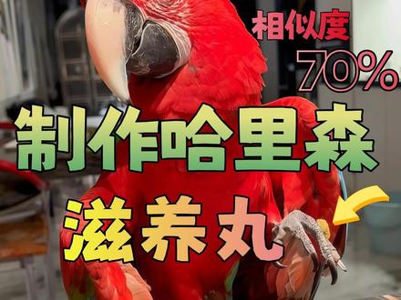 手把手教你在家手搓哈里森滋养丸,复刻70%。 哈里森怕买到假?哈里森常断货?别怕 我们在家手搓啊~!!现在准备原材料假期就在家手搓吧~!! PS: 好几天没更新,一是因为家中阿姨生病住院我忙不过来。第二个原因就是我憋了个大招。 #鹦鹉日常 #鹦鹉知识 #鹦鹉鹦鹉萌萌哒逗鹦鹉 #神奇动物在抖音 #萌宠出道计划 @旧鹦鹉翻新
