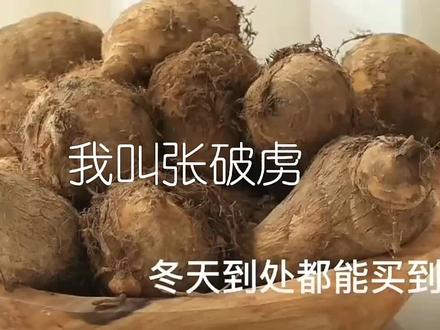 #肥猪猪的日常 #三尸语#张破虏
没有说全,想知道详情可以在番茄看《三尸语》和七猫看《阴阳诡匠》