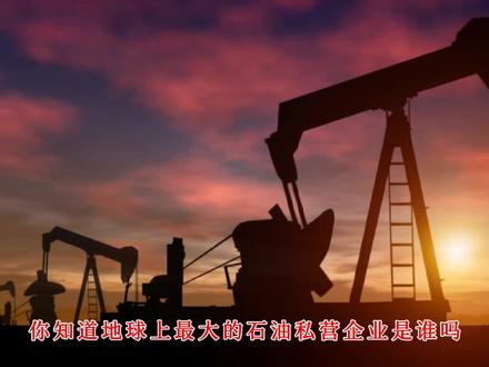 全球最大私人石油交易商为何不怕西方制裁? #全球最大私人石油交易商#石油#原油#进出口@抖音小助手