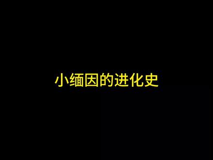 小缅因的进化史,你更喜欢哪个阶段的缅因?#缅因猫 #缅因 #我镜头下的小猫 #萌宠出道计划 #缅因猫多少钱一只