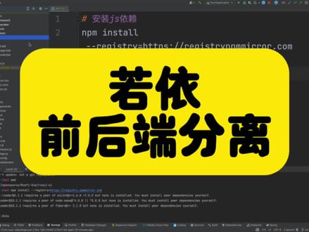 若依 前后端分离 #Java #前端
