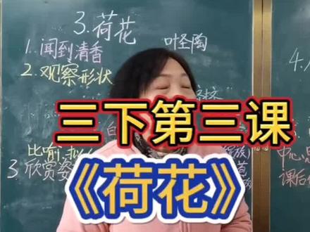 三下第三课《荷花》重点内容#三下 #往年今日的作品 #课本重点