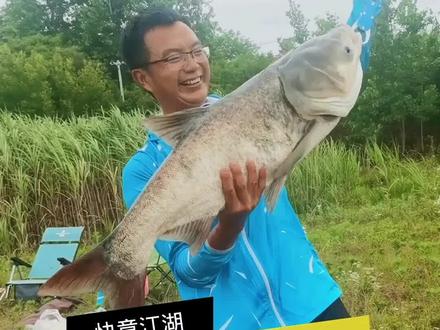 左罗首竿中获20+大鲢鳙#dou是钓鱼人 #野钓 #户外垂钓