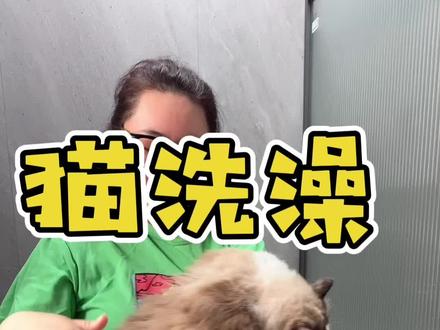 给猫洗澡全教程,猫不是不爱洗 是你方法没用对 #猫咪#猫#猫洗澡 #猫洗澡有多乖 #猫洗澡教程