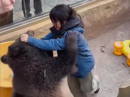 00后饲养员徒手制服棕熊 #00后 #饲养员 #动物园