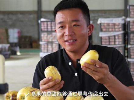 【青春华章·重走西北角】仲麟:扎根沙漠植“绿海” #青春华章重走西北角 #请到民勤种棵树 #沙退绿进 #仲麟 #十个勤天