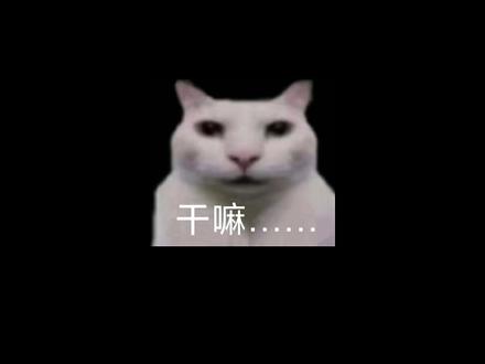 momood暂停整改没有关系,可以把崽挪到其他平台比如极昼
#ai #ai聊天 #AI极昼 #人机恋 #梦女