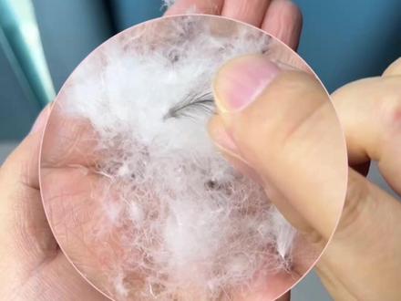 牧荒者羽绒服,价格卷了很多同类品牌,品质到底能不能经得住测评?
#与辉同行 #羽绒服测评 #牧荒者 #冲锋衣#牧荒者羽绒服