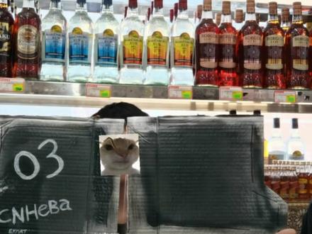 #性价比 #炸了 #性价比超高 盾构盾牌