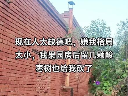 唉,这几天比较忙,果园房后留几颗酸枣长红了,在摘吃把,给别别人连根拔起,这些人都的没脸没皮呀,这样我说话,嫌我格局太小……