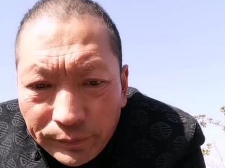 专业礼节教程