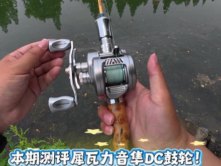 本期:犀瓦力音隼DC鼓轮,国产水滴轮百花齐放,越来越好。 #犀瓦力 #犀瓦力音隼DC鼓轮#犀瓦力DC #户外野钓日常 #路亚新手入门装备