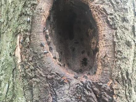 新疆实际情况 9ae583a5c238393224d314190971dcab~tplv-dy-resize-origshort-autoq-75:330.jpeg?x-expires=2001103200&x-signature=z0GX9A%2FMhTKWgWR3wpwA5wzJEdw%3D&from=3213915784&s=PackSourceEnum_AWEME_DETAIL&se=false&sc=cover&biz_tag=pcweb_cover&l=20230603060250A99E21E99E2DBA2C3ECD