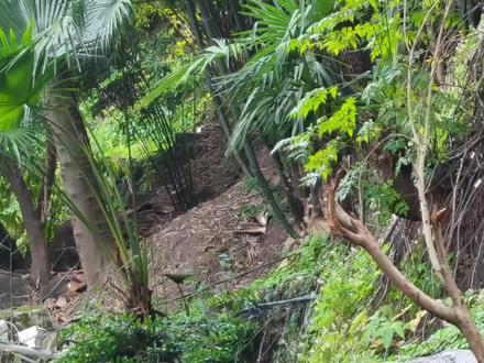 请善待国宝,文明出游!!!
该游客一行人恶意拍打二顺妈妈院子(205)前方防护棚,好心ee上前提醒,却被该游客恶语相向!!
该游客所用词汇极其肮脏、恶毒,声音极大,惊扰二顺妈妈,导致后续二顺惊醒且唇边有明显白沫!!!
首先,请贵园方面及时尽快给二顺做全面检查,检查二顺因该次事件受惊情况!!
其次,整个过程保安仅有手部阻拦,并未立即带离该游客,有明显失职,请问贵园方面究竟何时才能真正建立起黑名单制度?!究竟何时才能还国宝一个安静的展出环境?!
最后,我想请问贵园方面,为何在管理游客和粉丝方面手段频出,对真正不文明的游客却屡屡纵容?贵园方面身为动物保护机构,当以动物为先,还所有动物一个安静、舒适的生存环境!!!
请贵园建立黑名单制度,追究该游客不文明行为的责任!!!
#大熊猫二顺 #渝爱 #动物世界 #大熊猫 #保护大熊猫